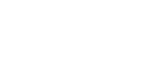 Fighting financials logo